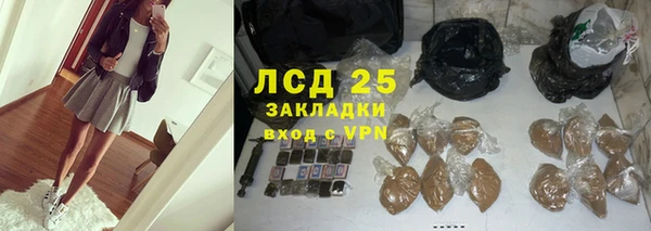 стаф Пестово