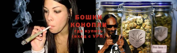 шишки Алзамай