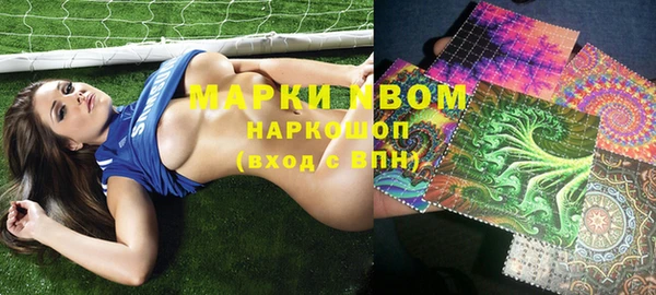 шишки Алзамай