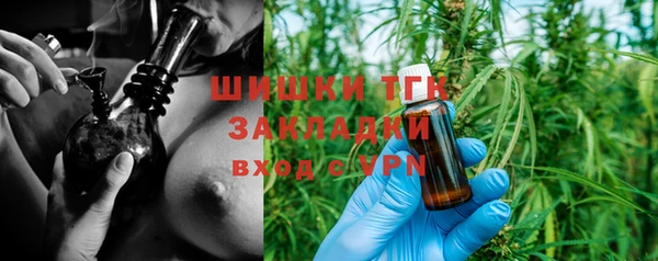 шишки Алзамай