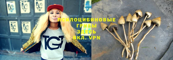 шишки Алзамай